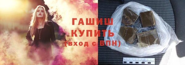 индика Бородино