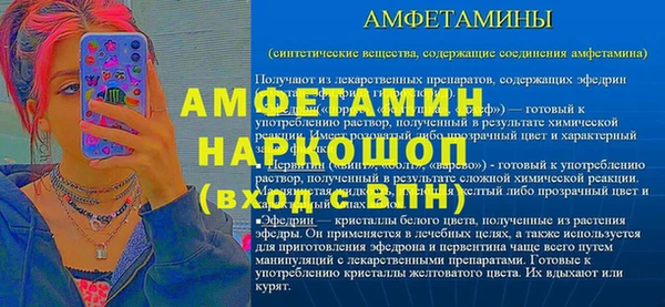 индика Бородино