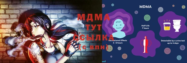 индика Бородино