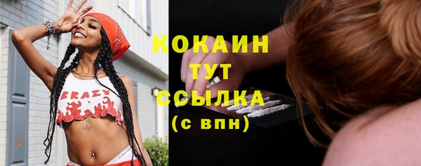 индика Бородино