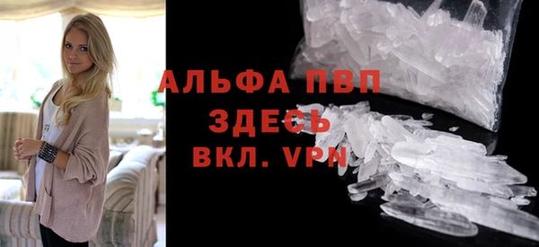 индика Бородино
