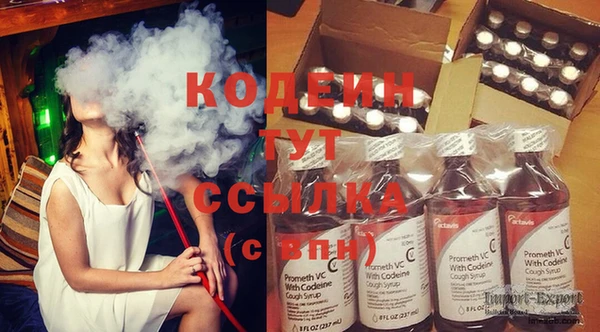 индика Бородино