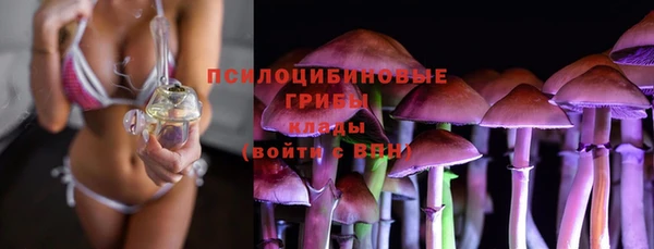 гашик Бронницы