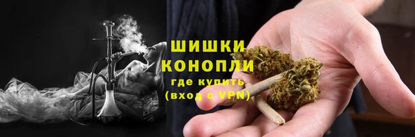 индика Бородино