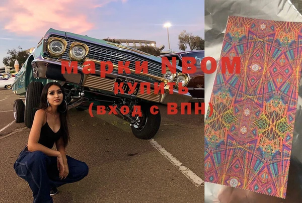индика Бородино