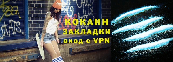 индика Бородино