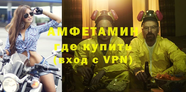индика Бородино