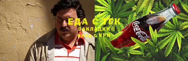 индика Бородино