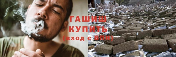 индика Бородино