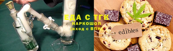 индика Бородино
