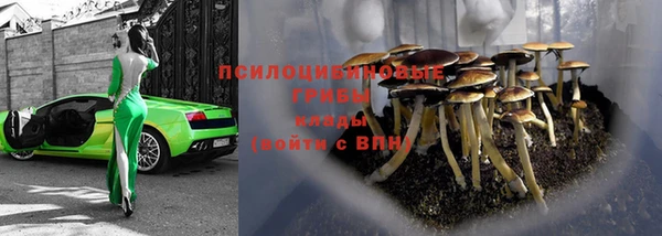 мдпв Бугульма